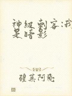 神级刺客:我即是暗影