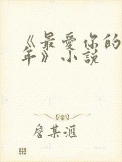 《最爱你的那十年》小说