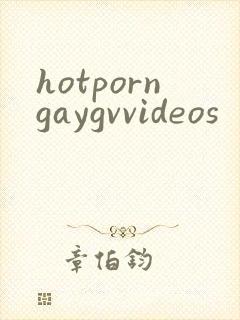 hotporngaygvvideos封面