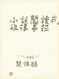 小说阅读我的姐姐很弟控