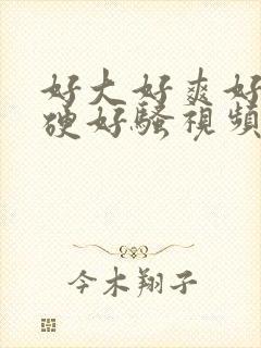 好大好爽好紧好硬好骚视频