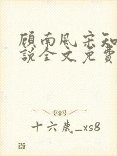 顾南风宋知意小说全文免费阅读封面