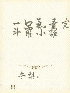 一口气看完穿越斗罗小说