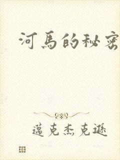 河马的秘密河封面