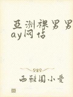 亚洲裸男男同gay网站
