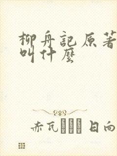 柳舟记原著小说叫什么封面