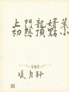 上门龙婿叶辰萧初然顶点小说封面