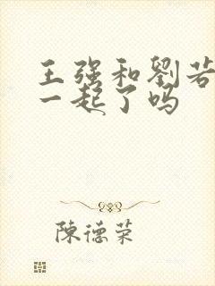 王强和刘若琳在一起了吗