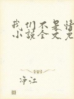 我们不是情敌吗小说全文免费阅读封面