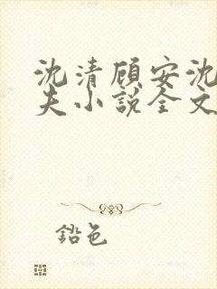 沈清顾安沈澈姐夫小说全文阅读