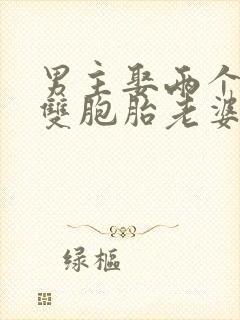 男主娶两个毛熊双胞胎老婆的小说