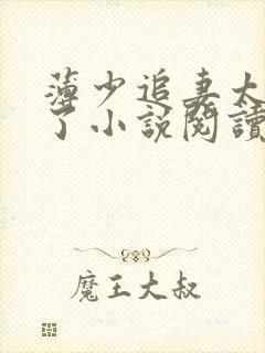 薄少追妻太上头了小说阅读