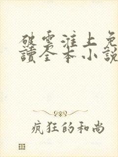 破云淮上免费阅读全本小说封面