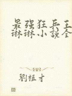 最强狂兵王猛范琳琳小说全文阅读