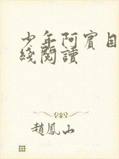 少年阿宾目录在线阅读