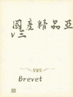 国产精品亚洲av三