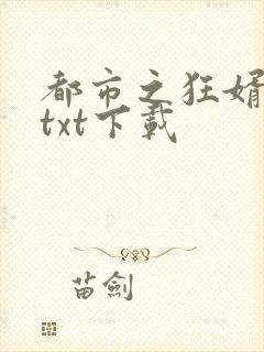 都市之狂婿战神txt下载