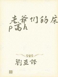 老爷们的床奴np高h