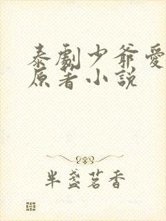 泰剧少爷爱上我原著小说