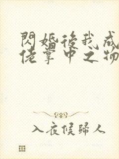 闪婚后我成了大佬掌中之物小说