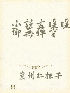 小说古暖暖江尘御无弹窗