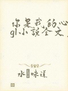 你是我的心尖宠gl小说全文免费阅读