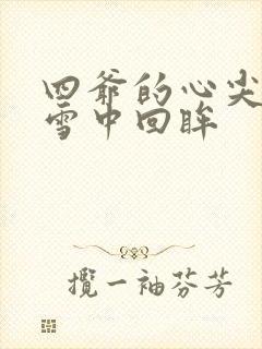 四爷的心尖宠妃雪中回眸