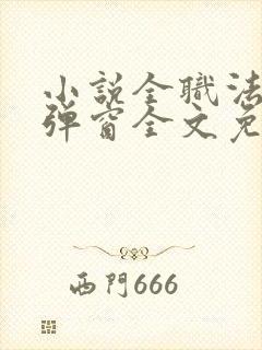 小说全职法师无弹窗全文免费阅读