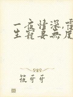 一夜情深,霍先生宠妻无度听书