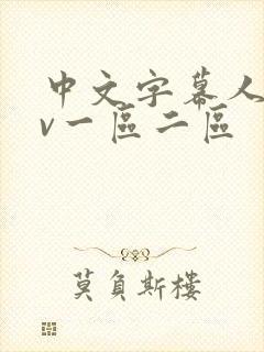 中文字幕人妻av一区二区