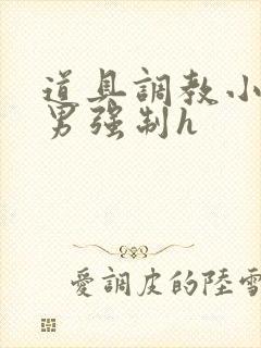 道具调教小说男男强制h