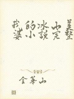 我的冰山美女老婆小说完整