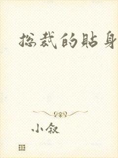 总裁的贴身女佣