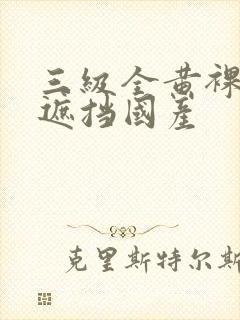 三级全黄裸体无遮挡国产封面