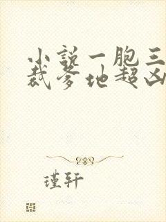 小说一胞三胎总裁爹地超凶猛