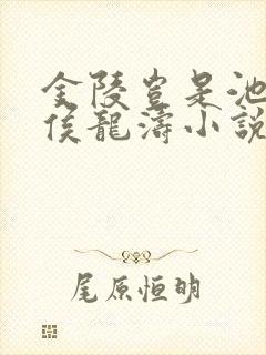 金陵岂是池中物侯龙涛小说