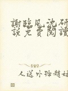 谢临风沈研卿小说免费阅读最新章节