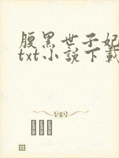 腹黑世子妃日常txt小说下载