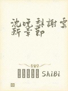 沈晚梨谢云迟最新章节