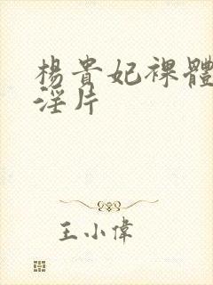 杨贵妃裸体一级淫片