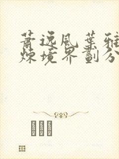 萧逸风叶雅馨修炼境界划分封面