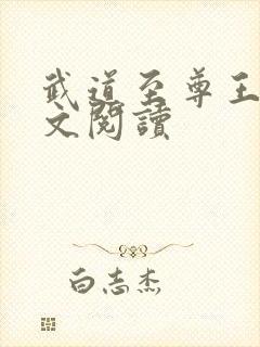 武道至尊王辰全文阅读