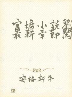 官场小说刘志中最新章节阅读全文封面