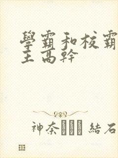 学霸和校霸双男主高干封面