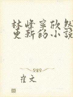 林峰宁欣然超前更新的小说