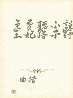 免费听小说这个王妃路子野