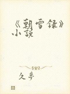 《朝雪录》原著小说封面