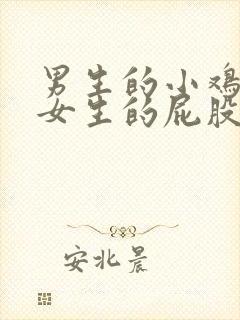 男生的小鸡进入女生的屁股里视频