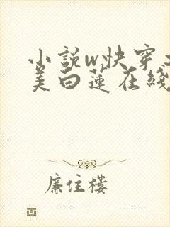 小说w快穿之绝美白莲在线教学,封面