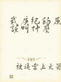 武庚纪的原著小说叫什么封面